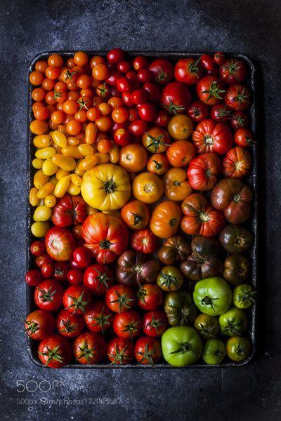 Rustic Patchwork Veggie Ensemble